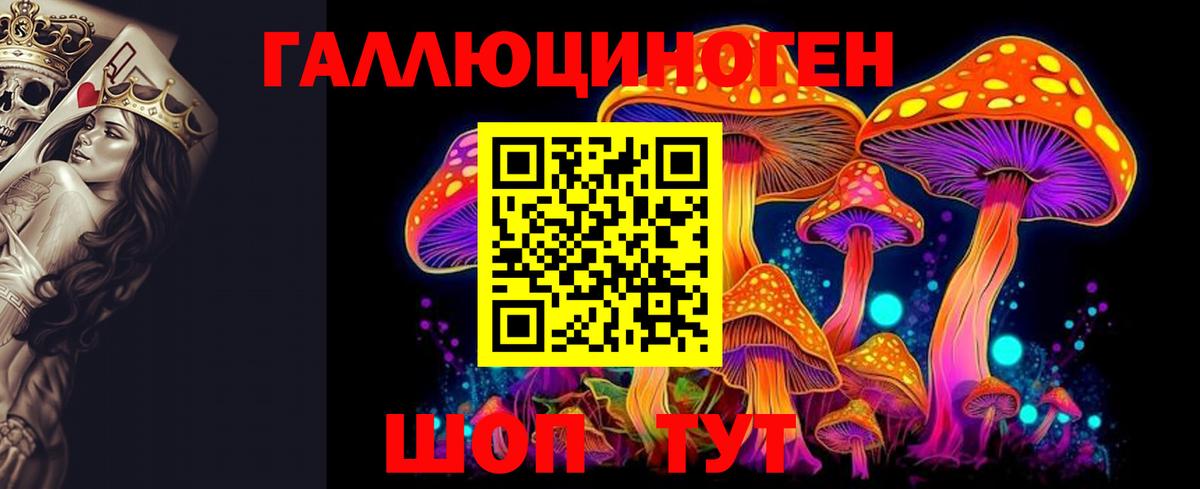 Галлюциногенные грибы прущие грибы Ачинск