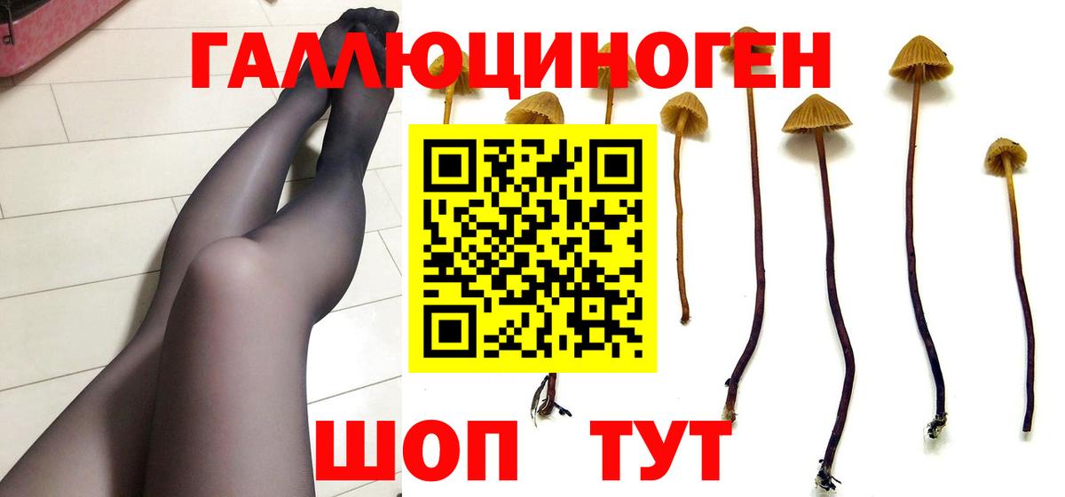 Галлюциногенные грибы Cubensis  Псилоцибиновые грибы GOLDEN TEACHER  Ачинск  Вход с VPN 
